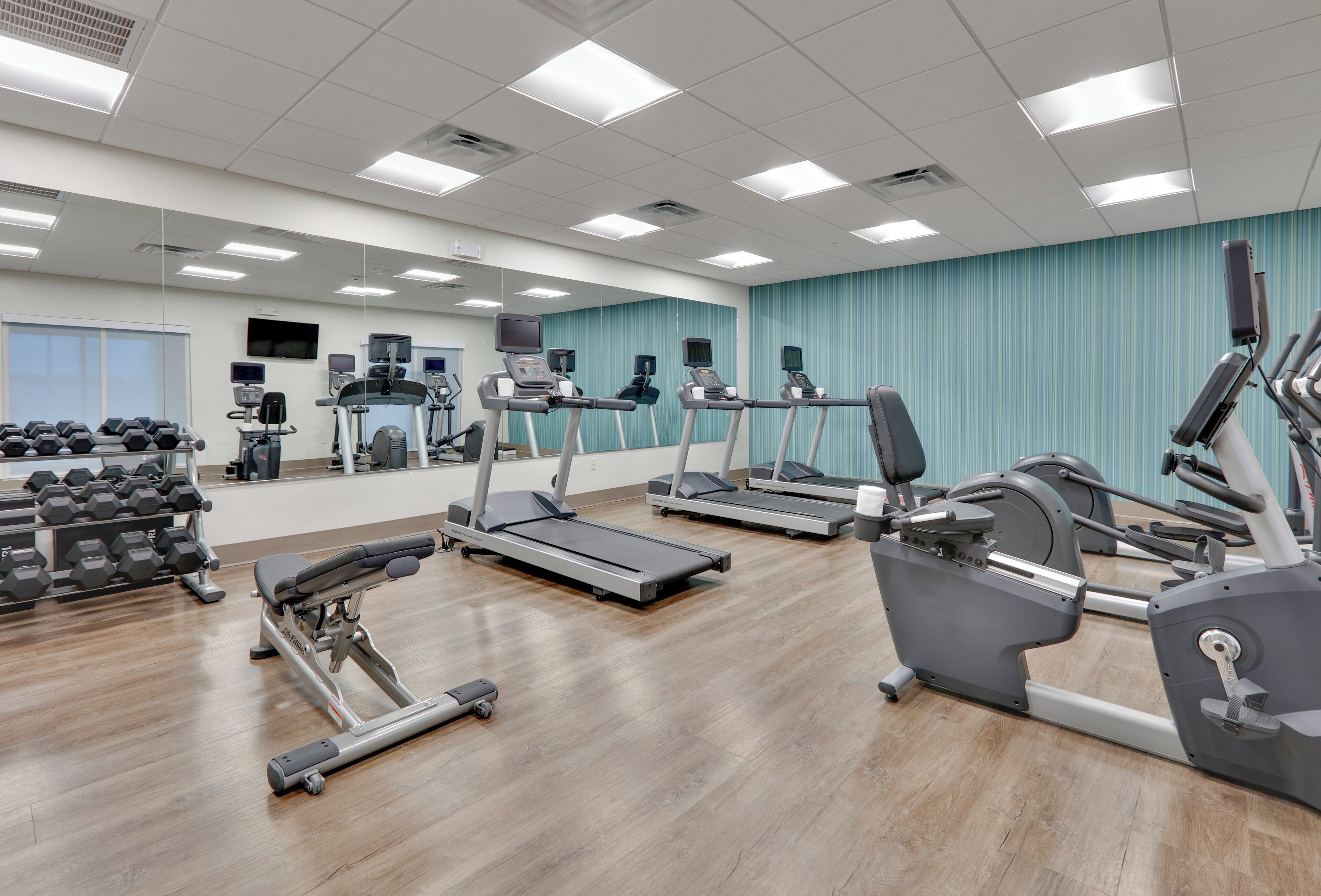A gym with treadmills, elliptical machines, and dumbbells.