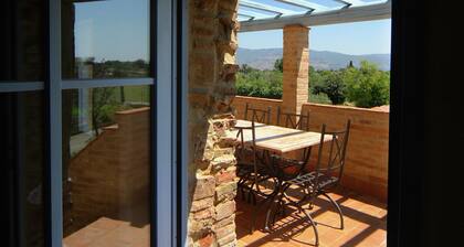 Villa in Cortona with Pool & Garden