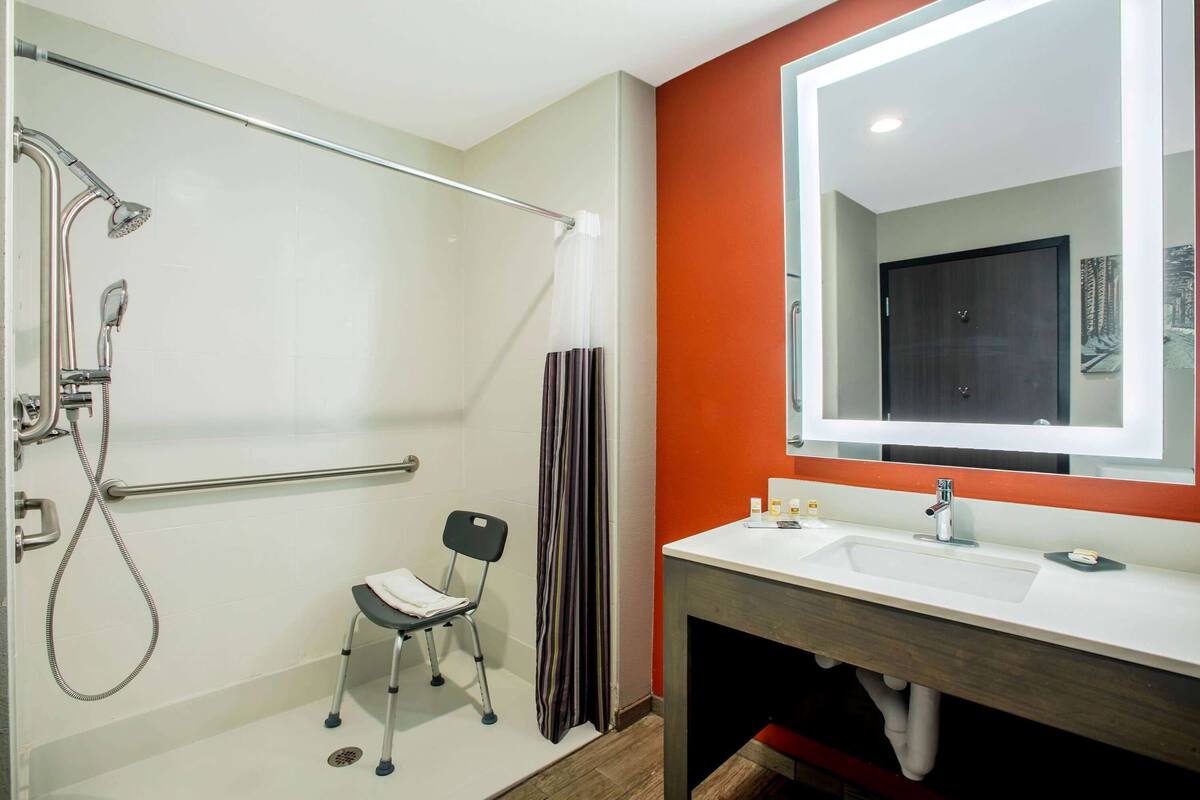 combined shower/bathtub, free toiletries, hair dryer, towels