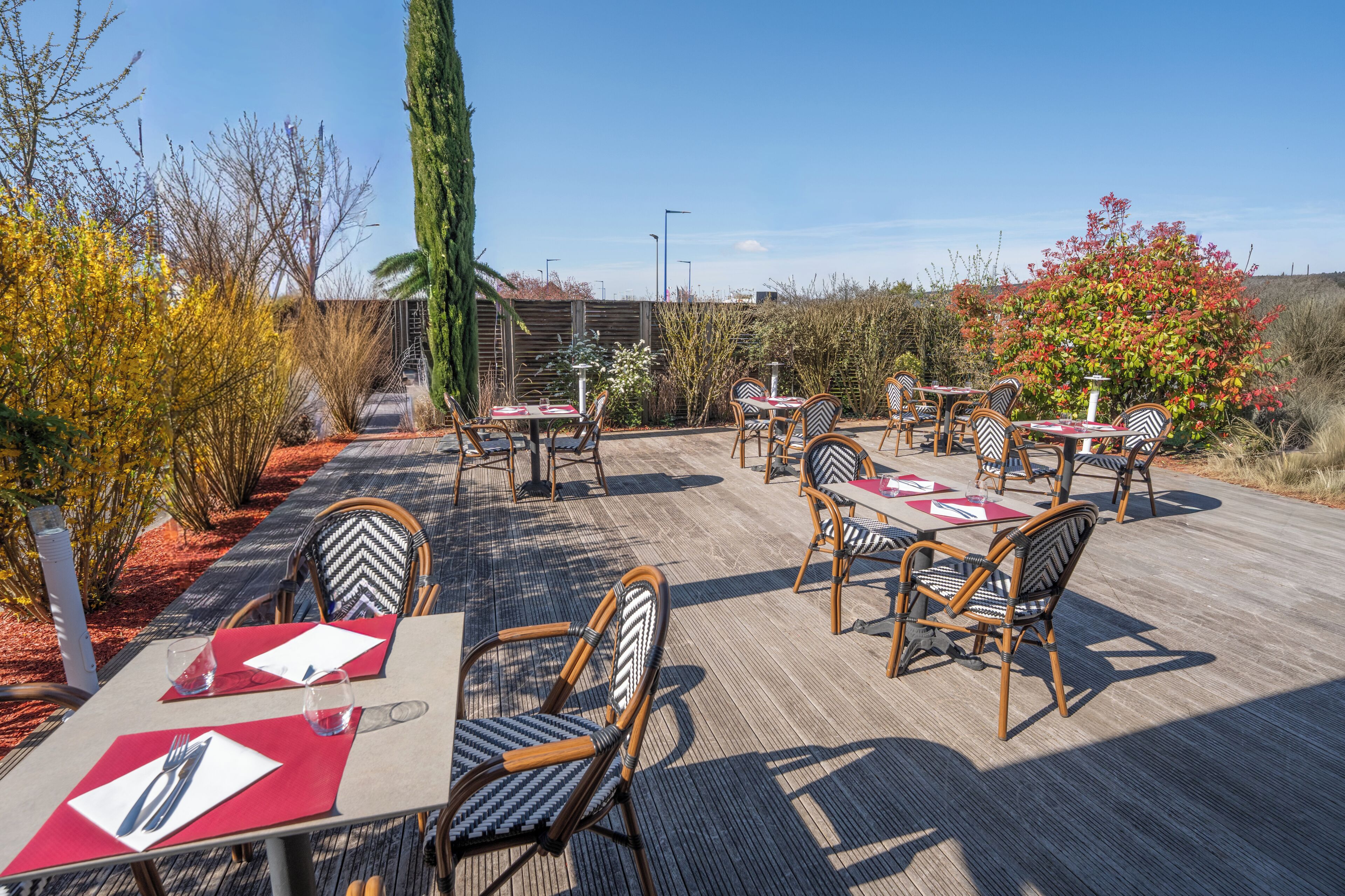 Un área de comedor al aire libre con mesas y sillas, rodeada de plantas y árboles.
