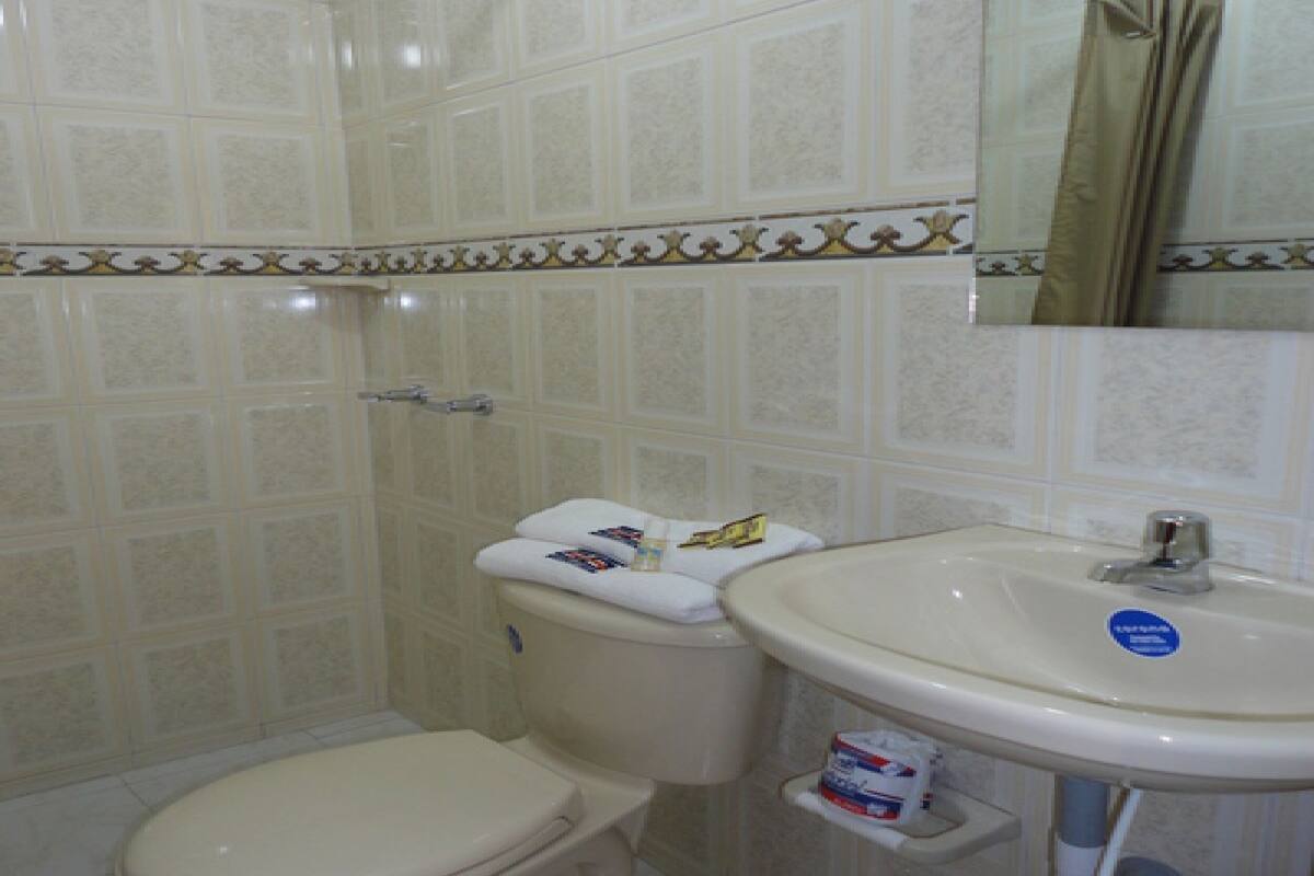 Un baño con inodoro, lavabo y ducha.