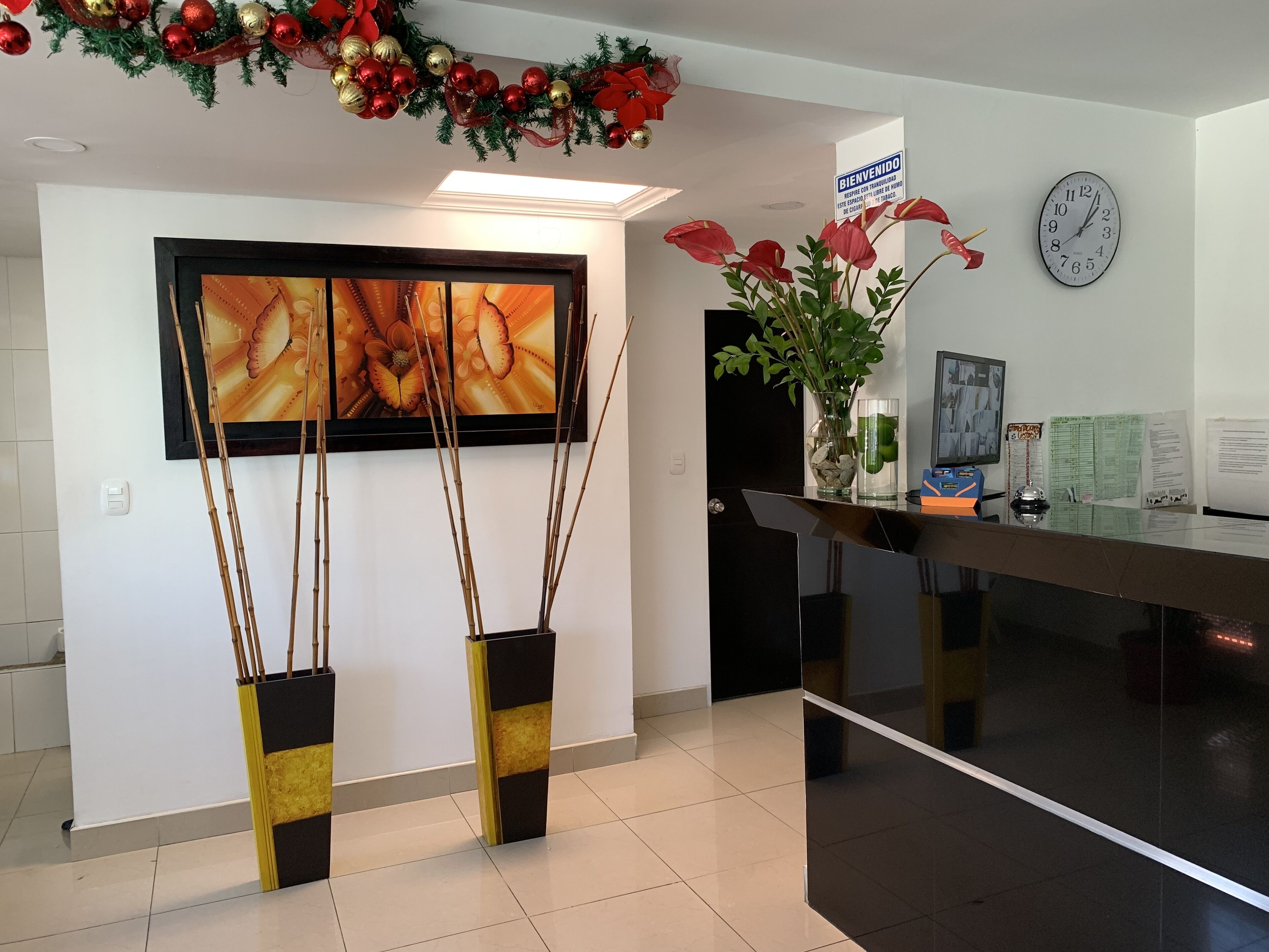 منطقة الاستقبال