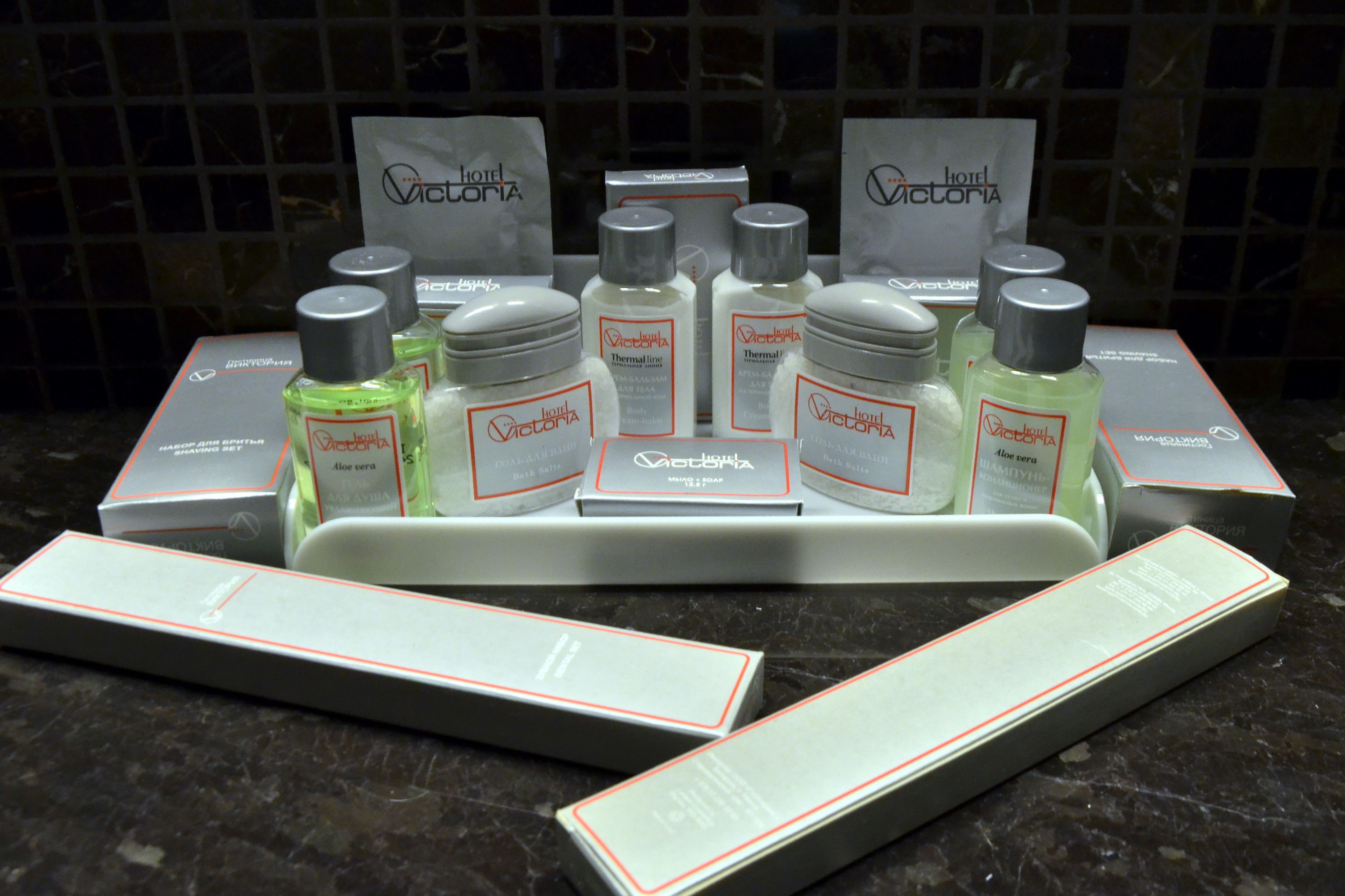 combined shower/bathtub, free toiletries, hair dryer, towels