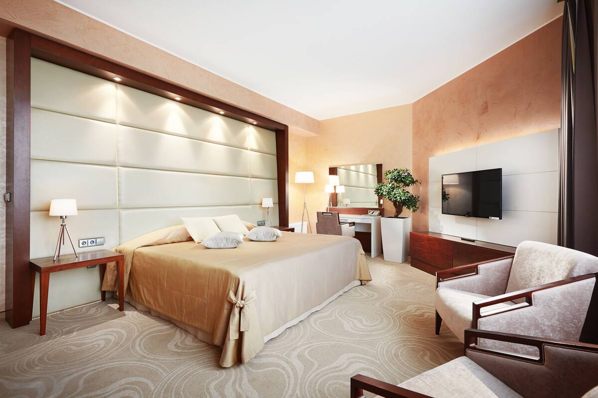 A hotel room with a large bed, a desk, a chair, a TV, and a plant.