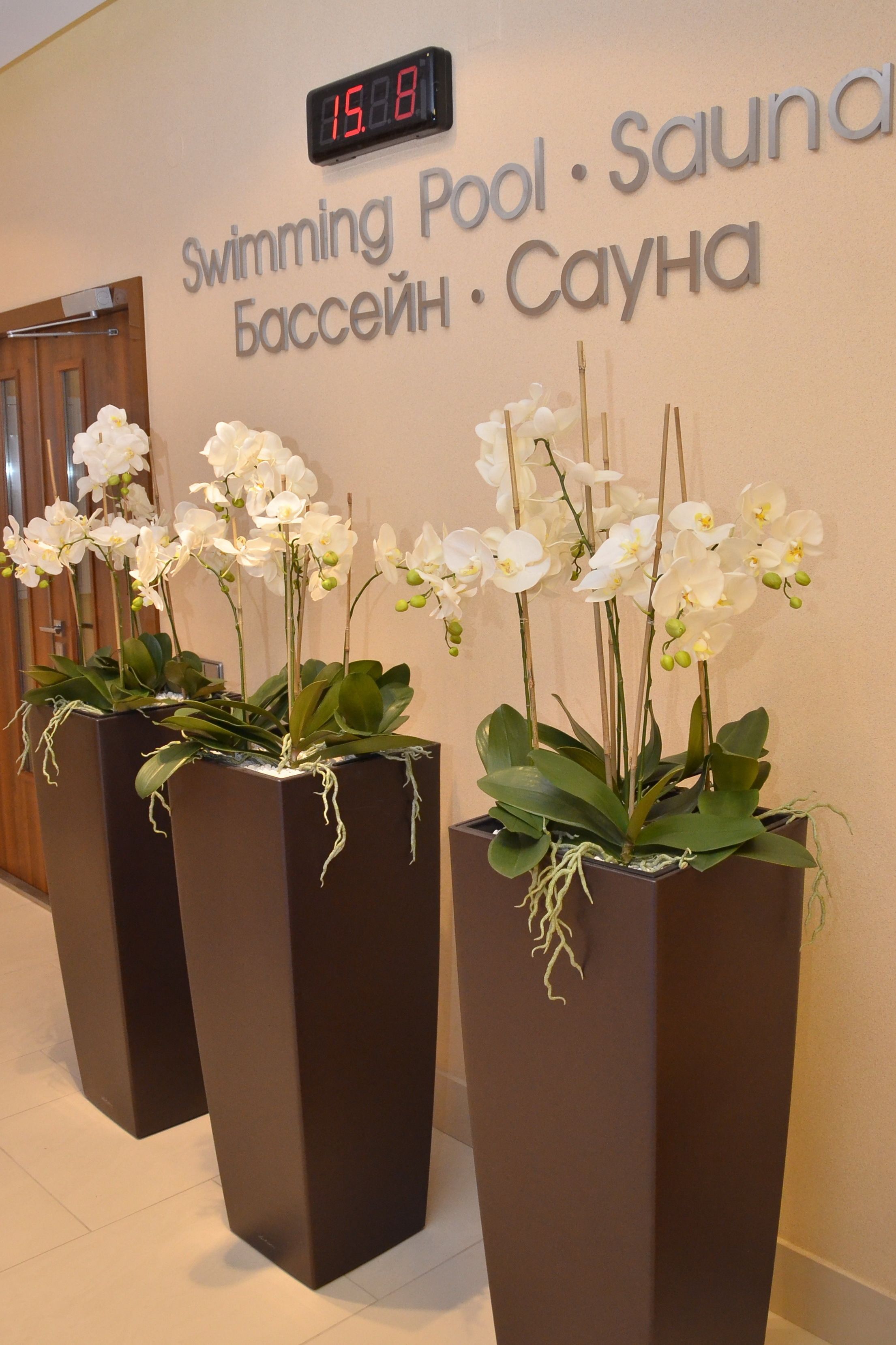 sauna, turkish bath/hammam, body treatments, hot stone massages