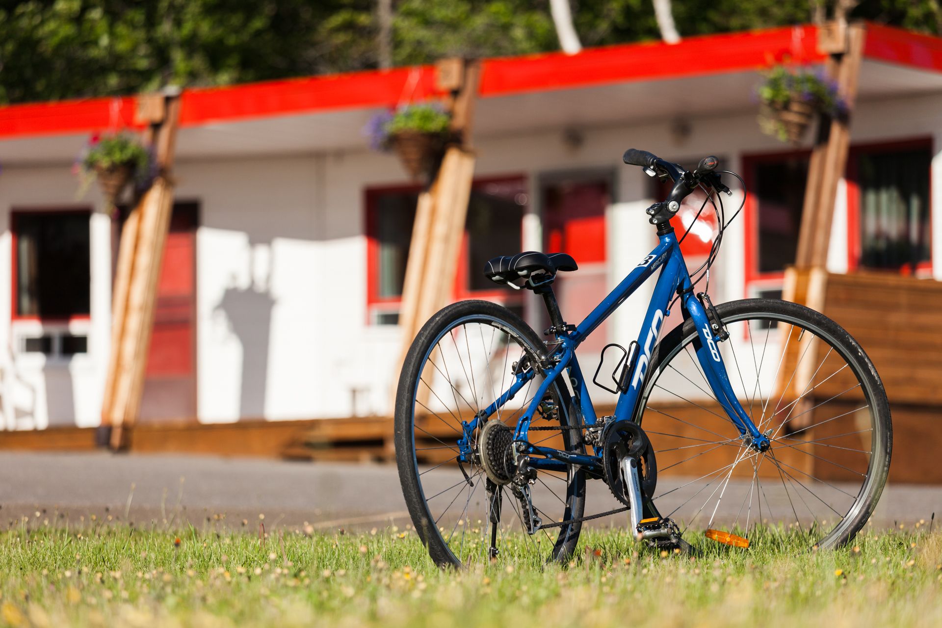 Una bicicleta azul estacionada sobre césped frente a un edificio con paredes rojas y blancas y plantas colgantes.
