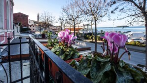 A balcony with potted plants and a view of a street with buildings and a body of water. - Studios Antica Porta Sul Mar (Rovinj)