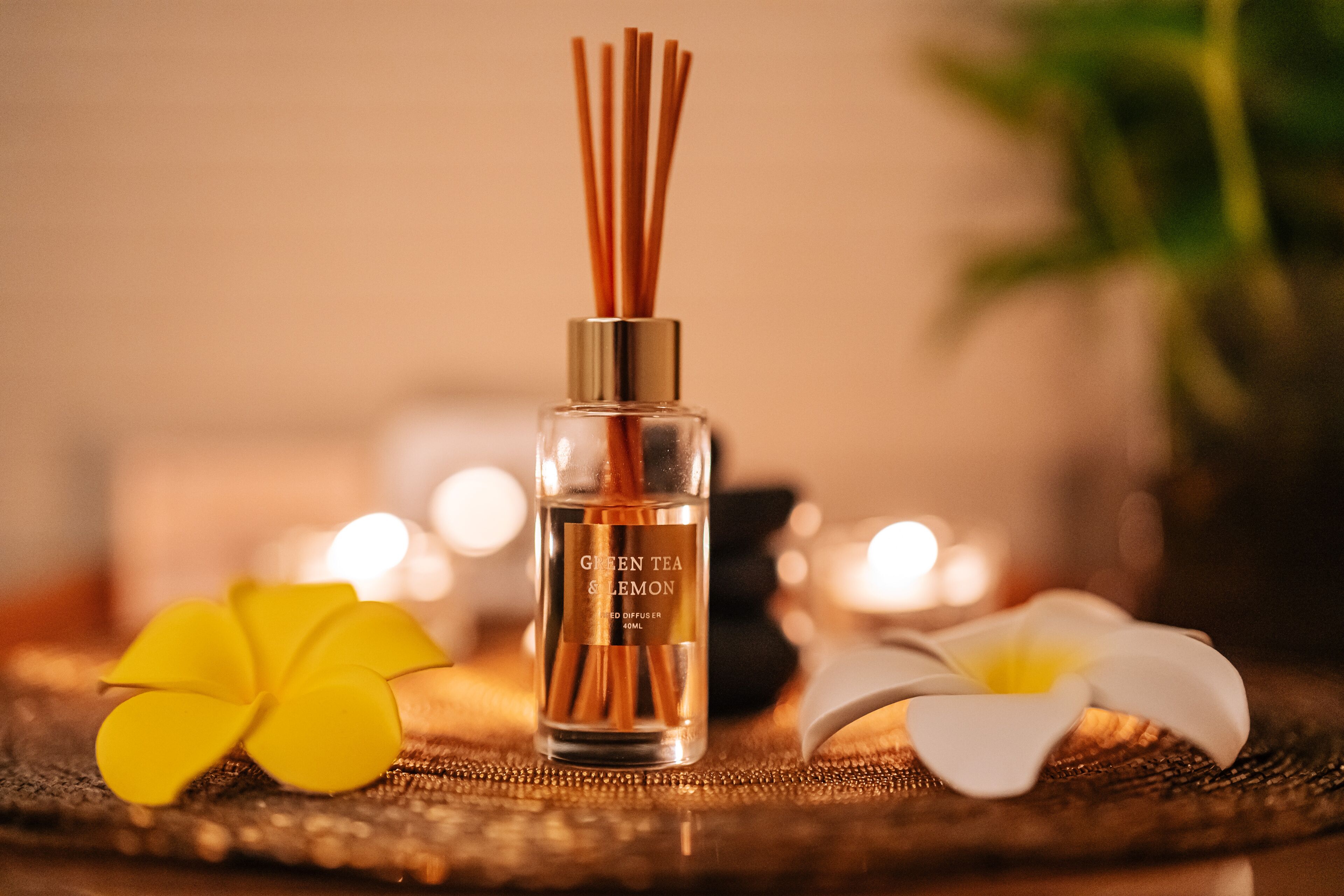 body treatments, body scrubs, facials, massage/treatment rooms