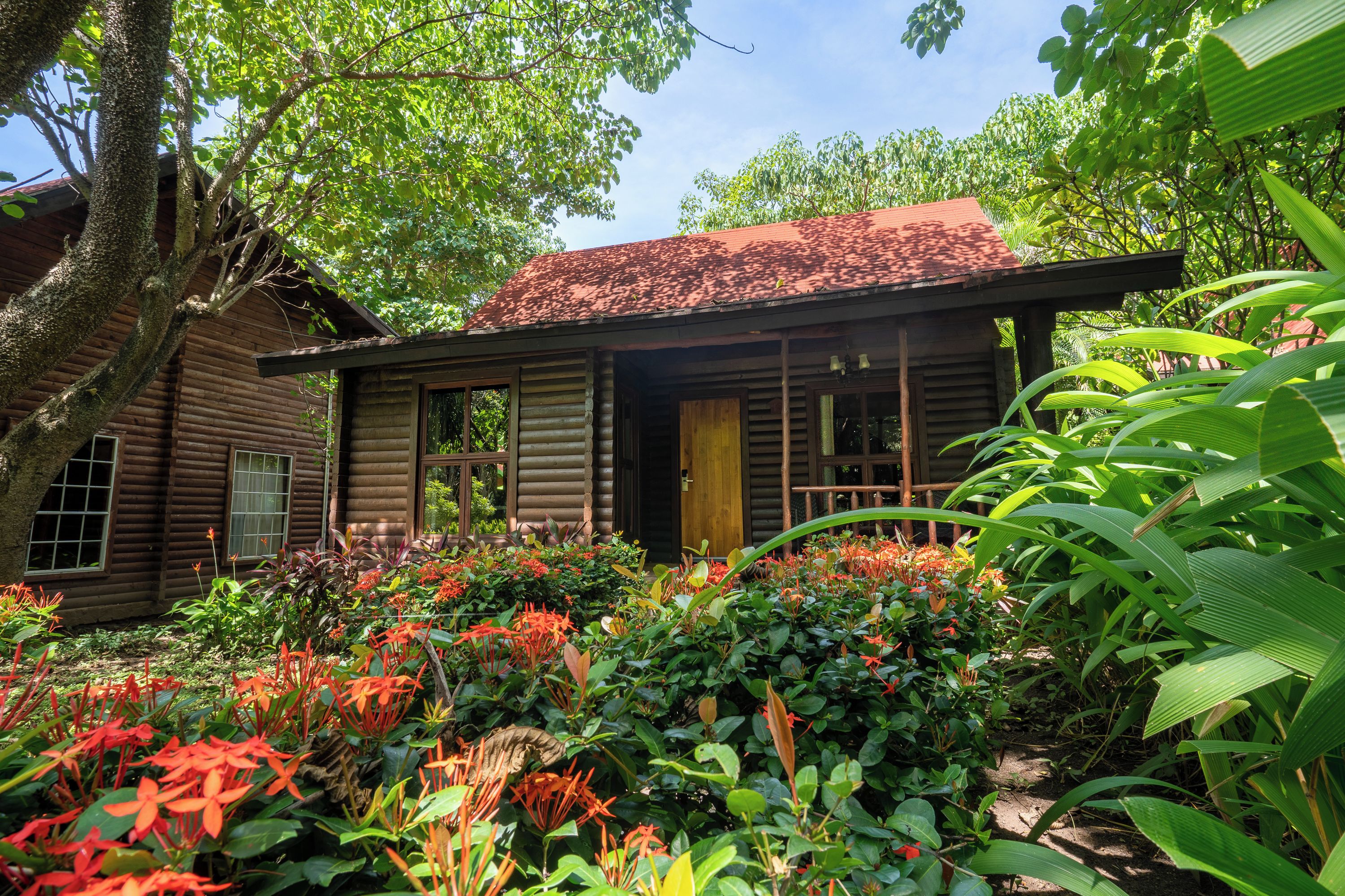A wooden cabin with a red roof surrounded by lush greenery and vibrant flowers.
