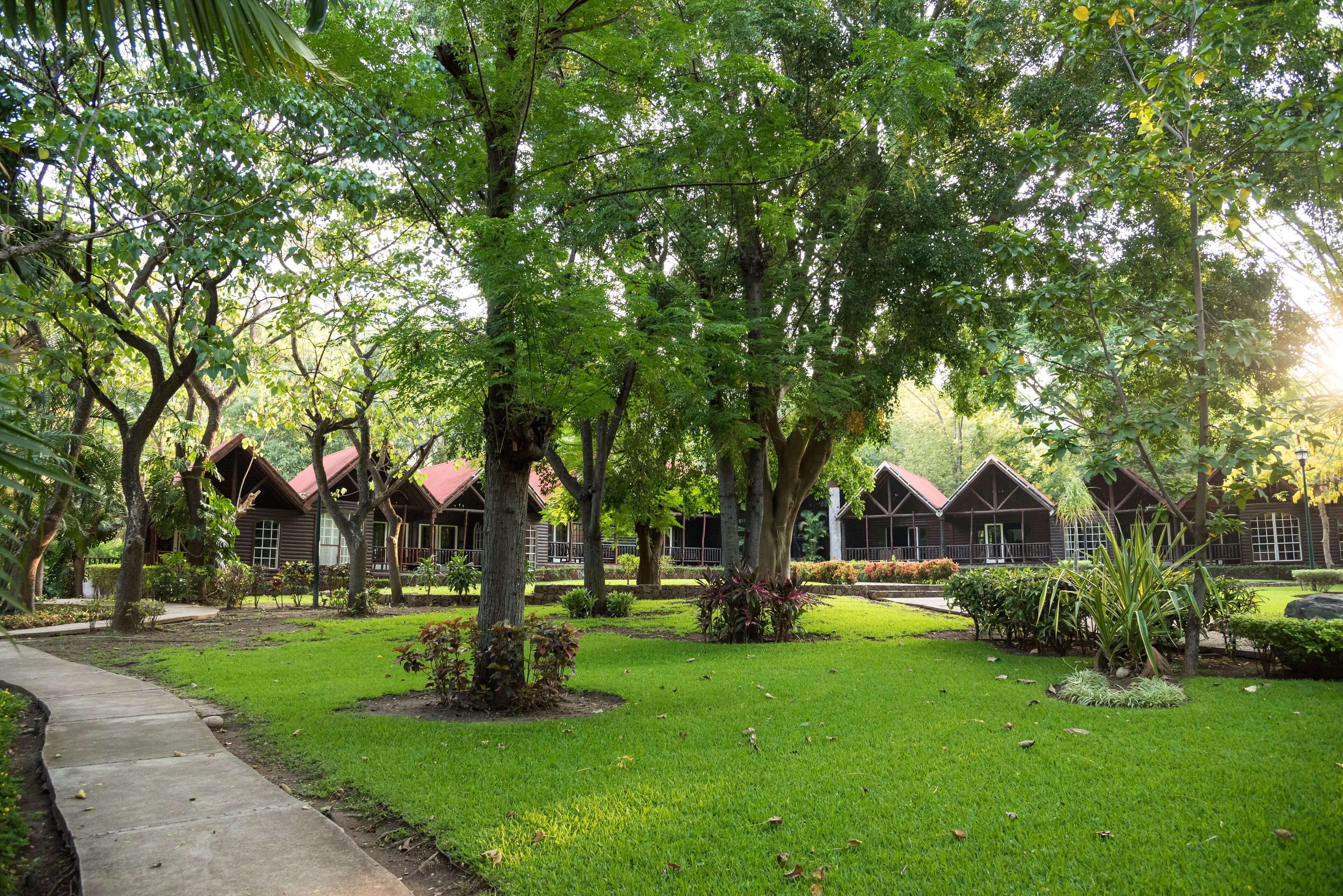 honeymoon room, 1 king bed | 2 bedrooms, bed sheets