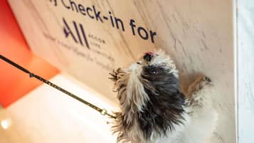Un chien tenu en laisse, qui lève la tête pour regarder un mur sur lequel est affiché un panneau indiquant : « Enregistrement prioritaire pour tous. »