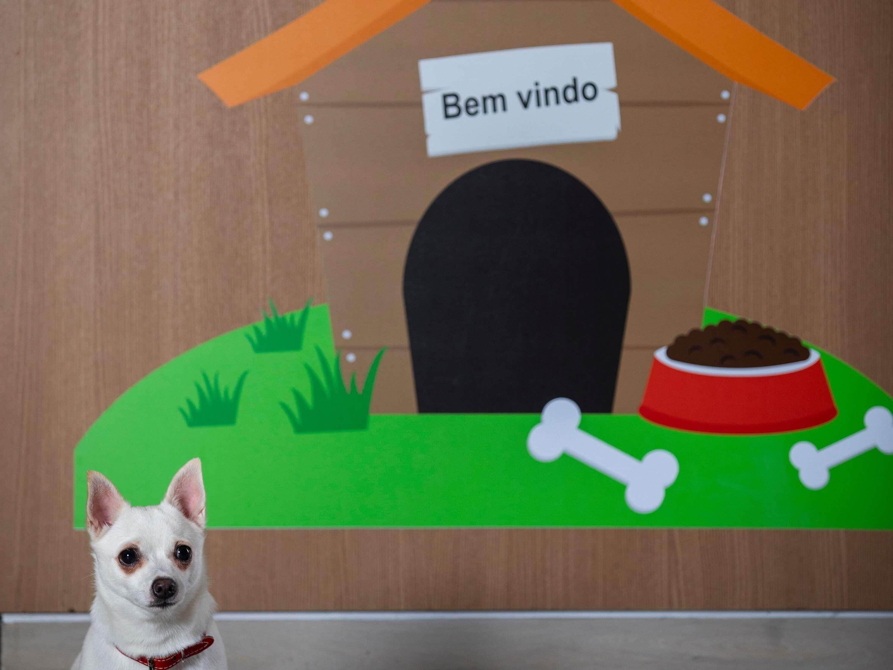 Un perro frente a una estructura de madera con un letrero que dice 'Bem vindo' y un tazón rojo con huesos.