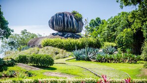 Un jardin agrémenté d’une grande formation rocheuse, d’une pelouse verdoyante et de diverses plantes.