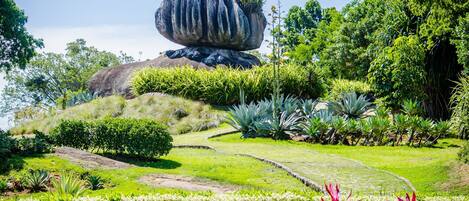 A garden with a large rock formation, green grass, and various plants.