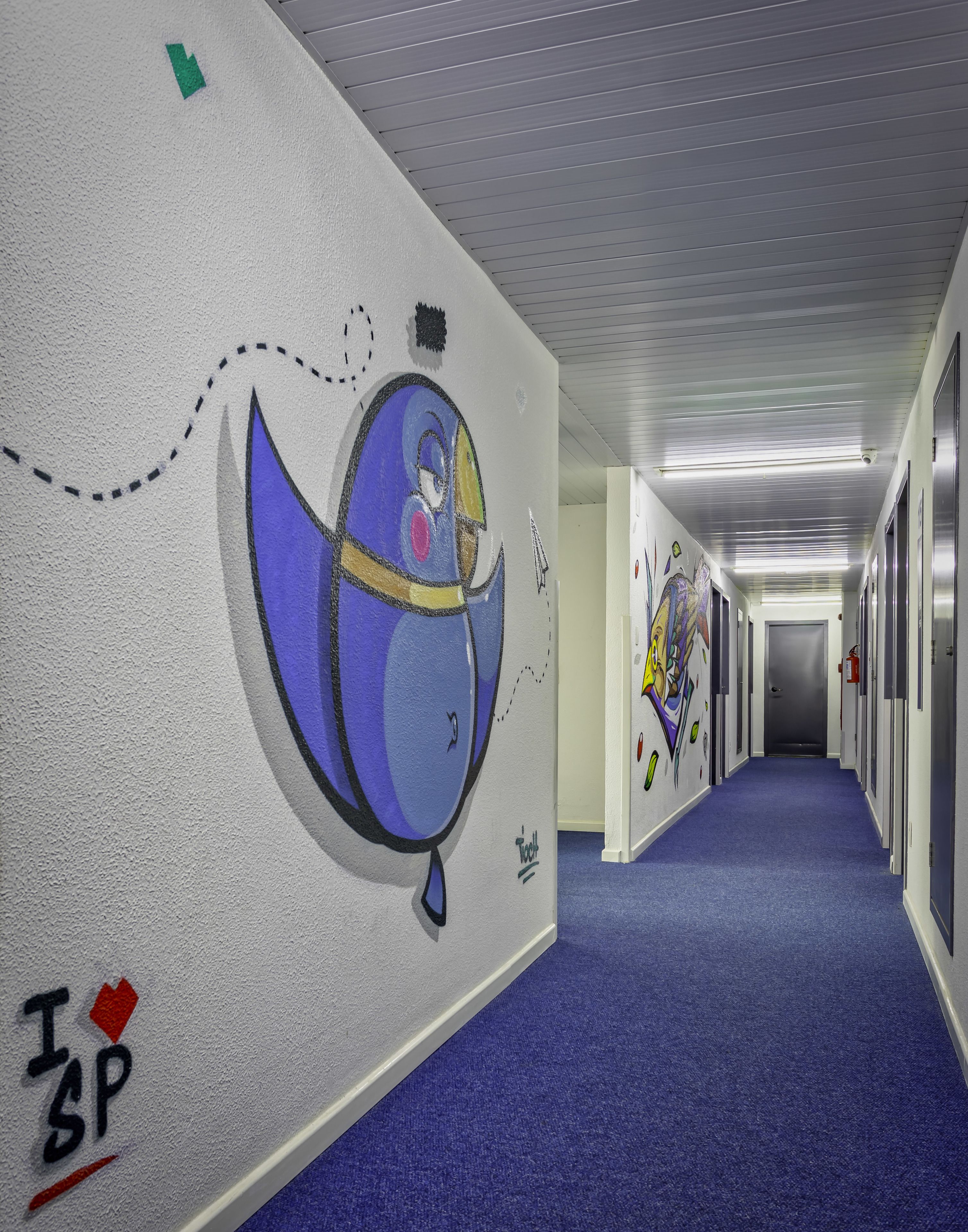 A hallway with a blue carpet, white walls, and colorful murals. There are doors on the right and a trash can on the left.