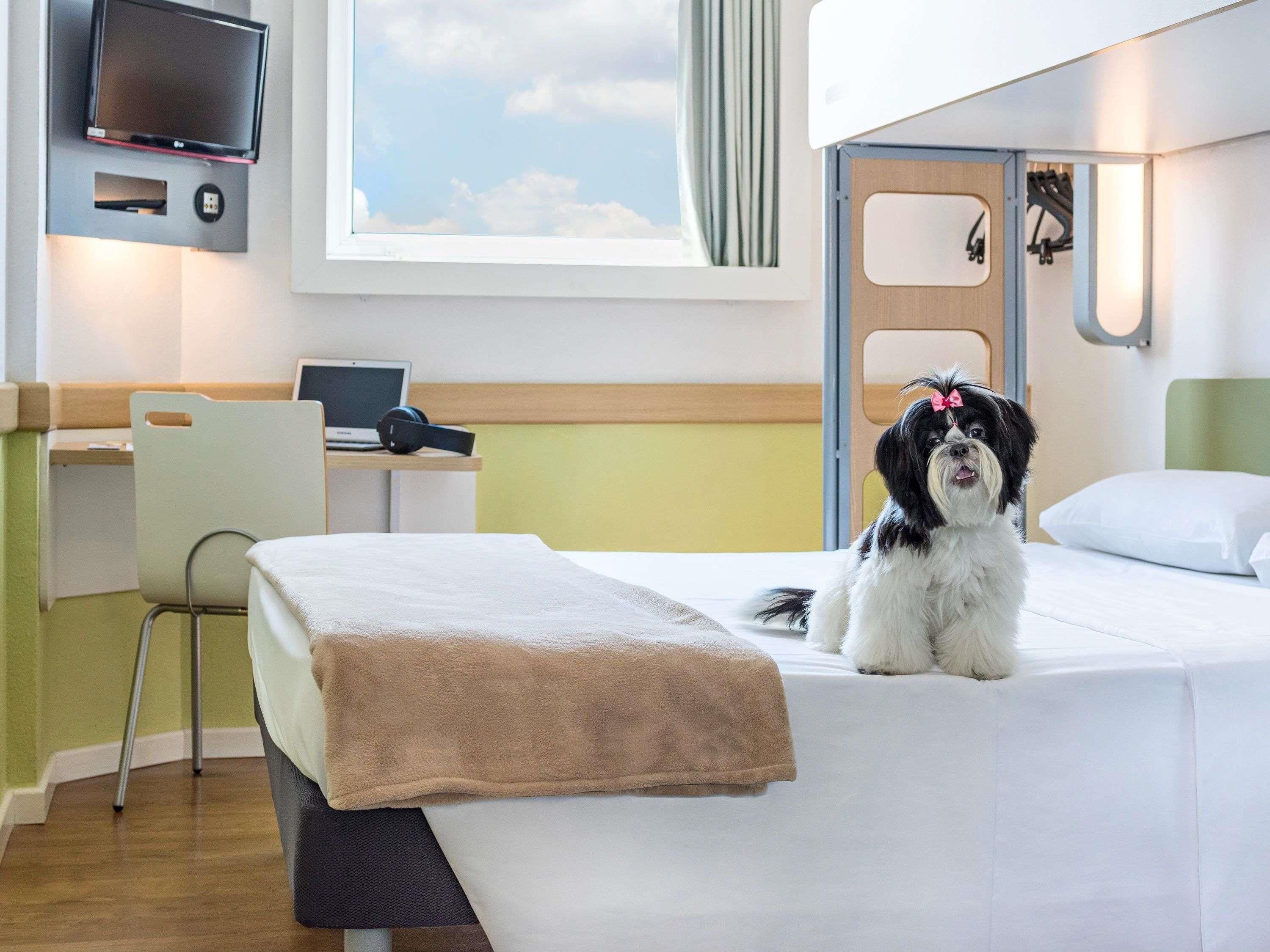 A hotel room with a bed, a desk with a laptop, a chair, a TV mounted on the wall, and a window with a view of the sky.