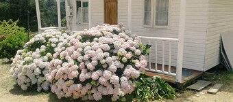 Cabañas Campestres Guarachi