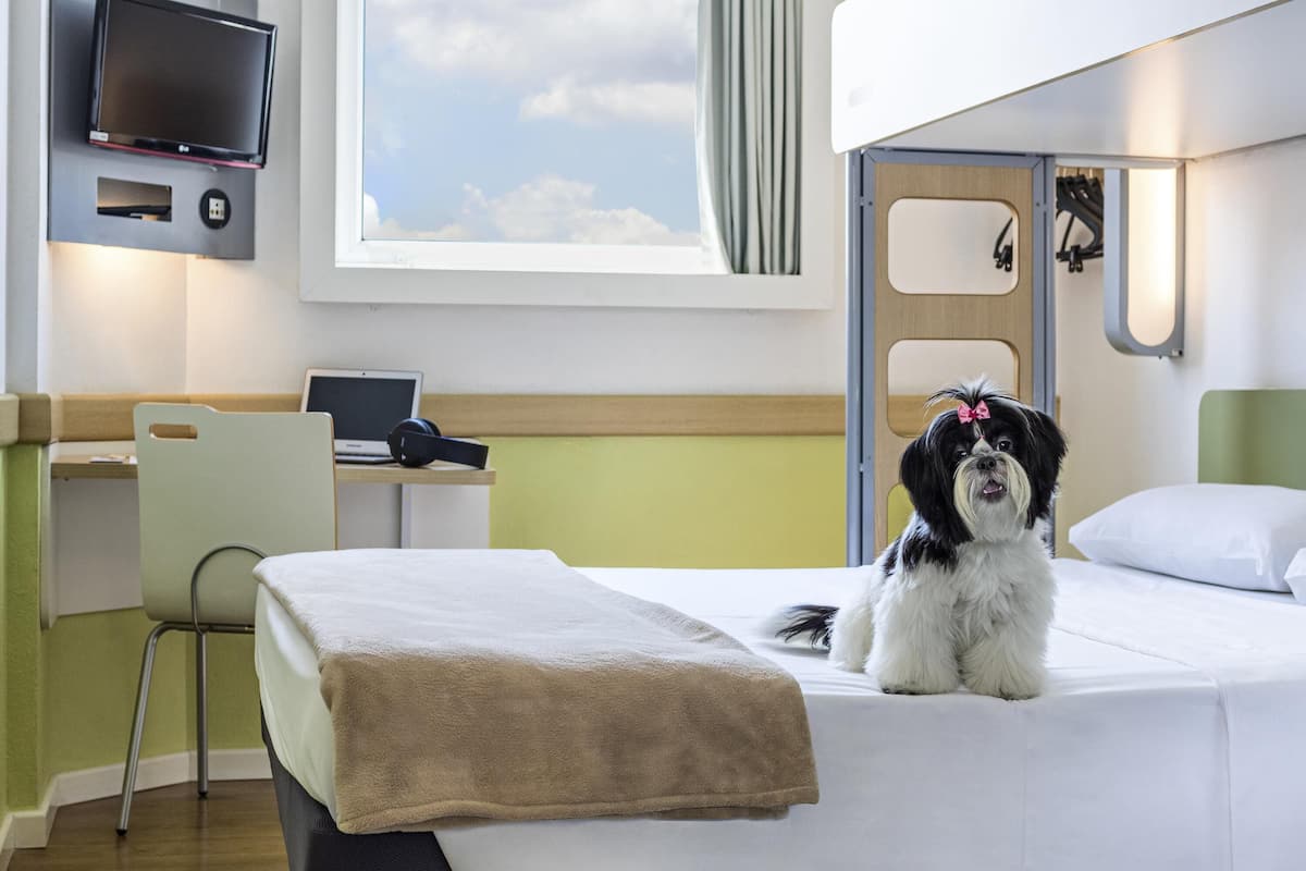 Standard Apartment, 1 Double Bed | Desk, laptop workspace, blackout drapes, soundproofing