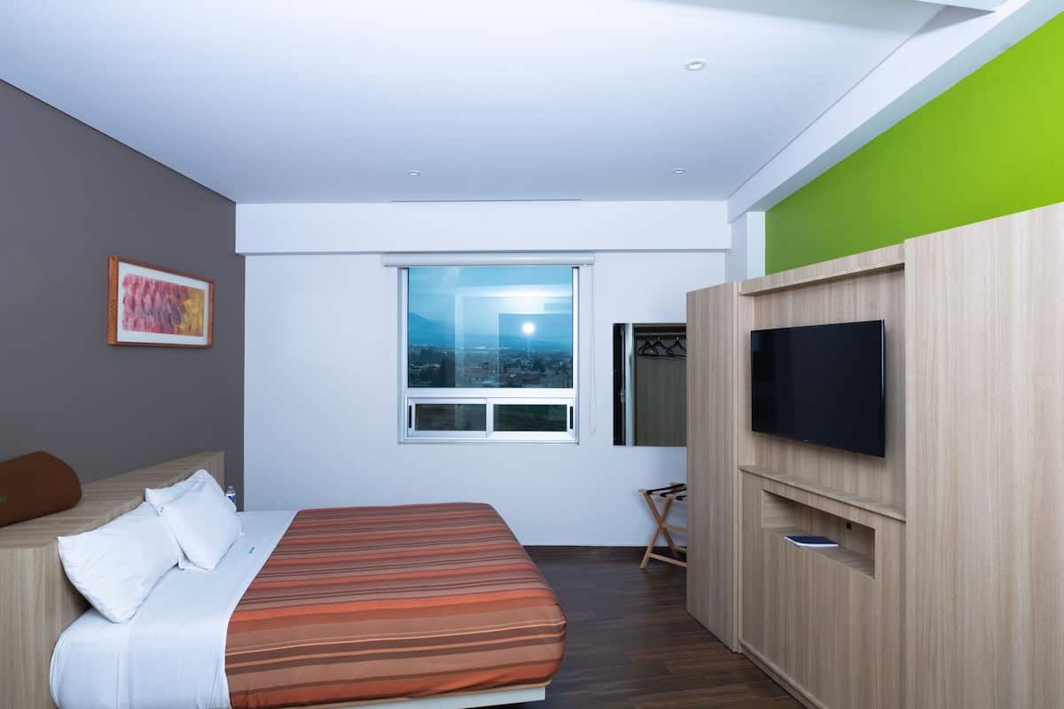 A modern hotel room with a bed, a television, a window with a city view, and a green accent wall.