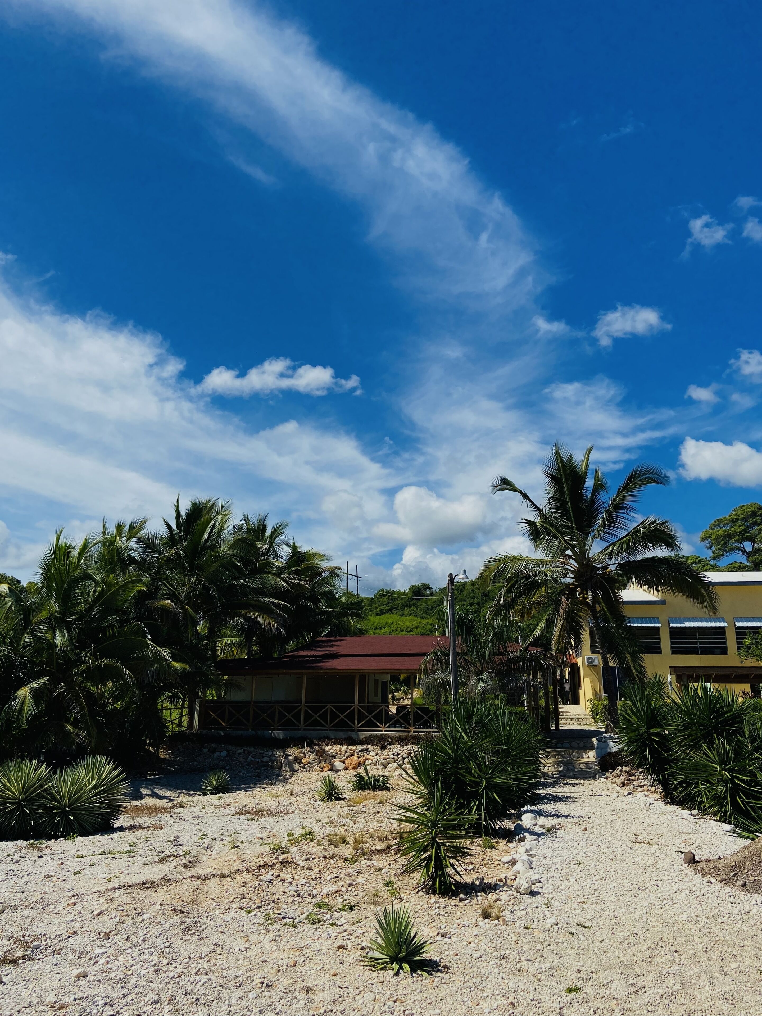 Foto - Hotel Al Mare