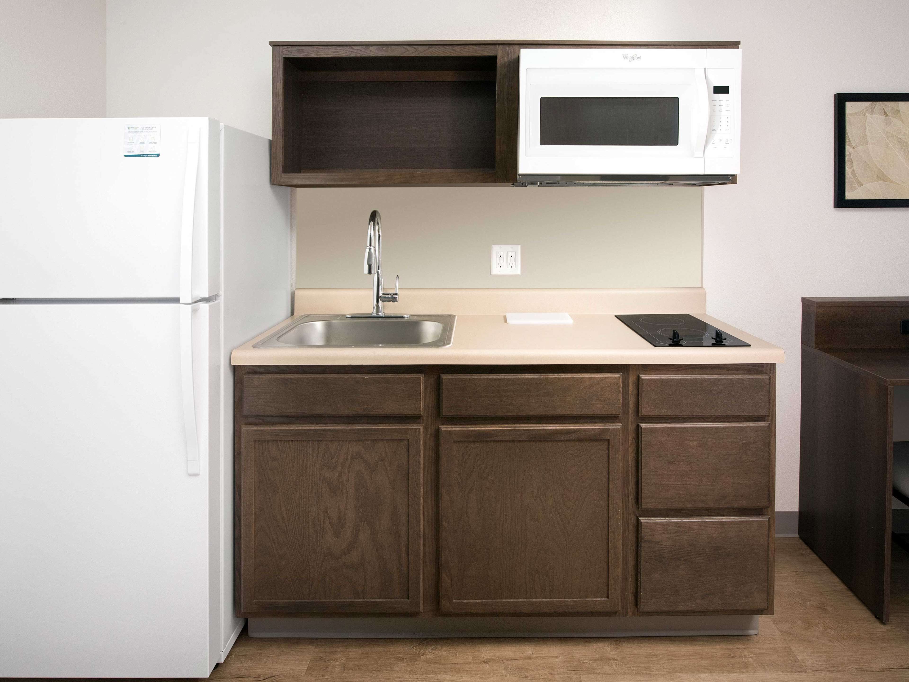 华丽开间, 1 张大床和 1 张沙发床, 无烟房, 冰箱和微波炉 | 私人厨房 | 大冰箱、微波炉、炉灶、冰柜