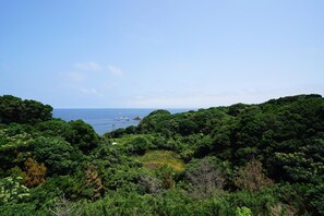 A lush, green landscape with dense foliage and a clear view of the sea in the background. - Tobi Hostel and Apartments (Shima)