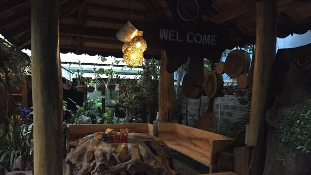 A wooden bench with a rustic design, surrounded by potted plants and a hanging light fixture.