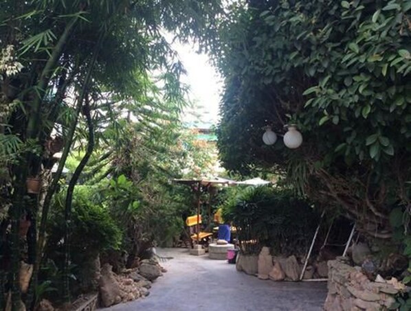 Un sendero estrecho bordeado por follaje denso y plantas en macetas, que conduce a una zona de estar con una mesa y sillas.