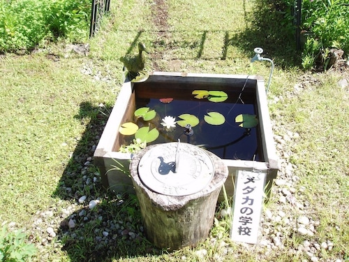 子供用の遊び場 - 屋外
