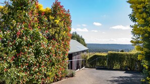 A building with a metal roof, surrounded by lush greenery and a clear sky. - Queensberry Springs Villa 1 (Daylesford)
