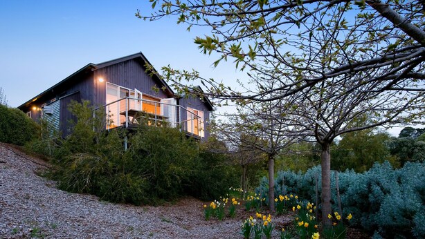 A modern house with a balcony, surrounded by a garden with yellow flowers and trees. - Queensberry Springs Villa 1 (Daylesford)