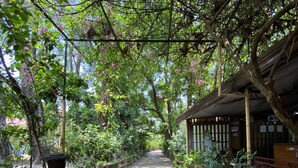 Un sentier mène à une construction traditionnelle en bois, dotée d’un toit de chaume, et entourée d’une végétation luxuriante et de plantes en fleurs.