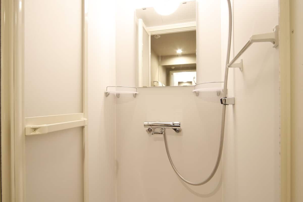 shower, free toiletries, hair dryer, slippers