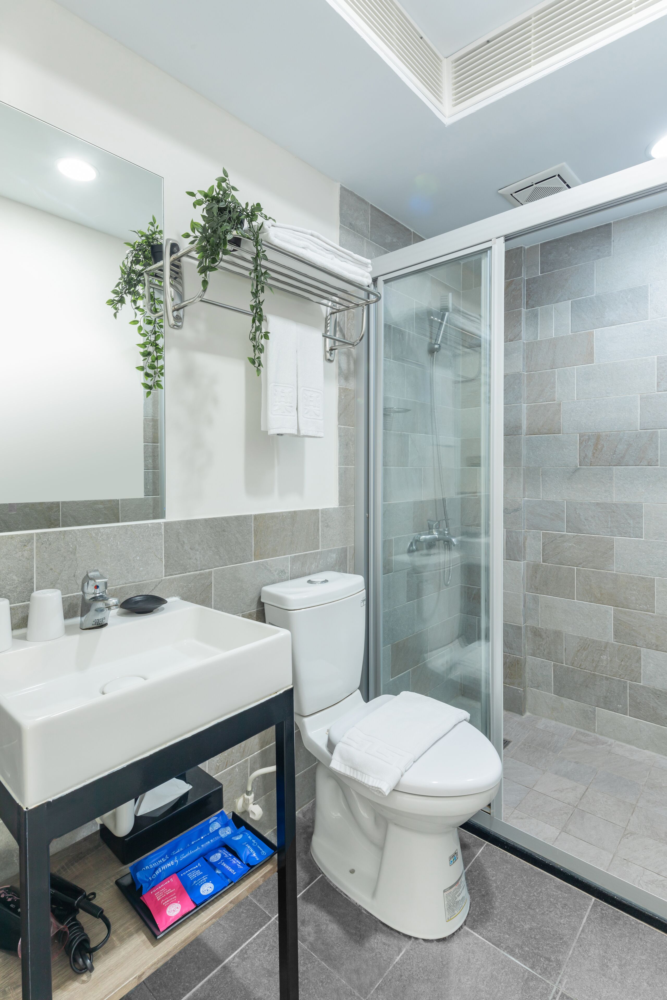 shower, free toiletries, hair dryer, slippers