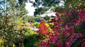 Garden - Serendip (Daylesford)