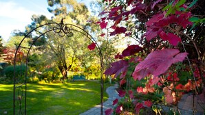 Garden - Serendip (Daylesford)