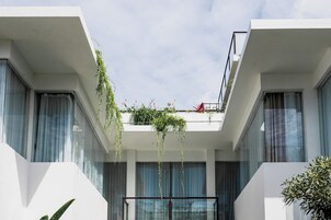 A modern building with a flat roof, large windows, and a balcony with hanging plants.