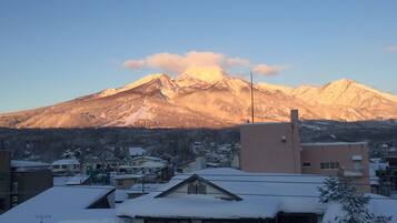 Western Style Room with Private Bathroom, Non Smoking | Balcony view