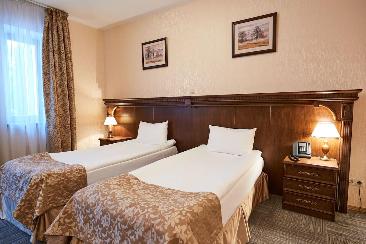 Standard Twin Room | In-room safe, desk, iron/ironing board, free WiFi