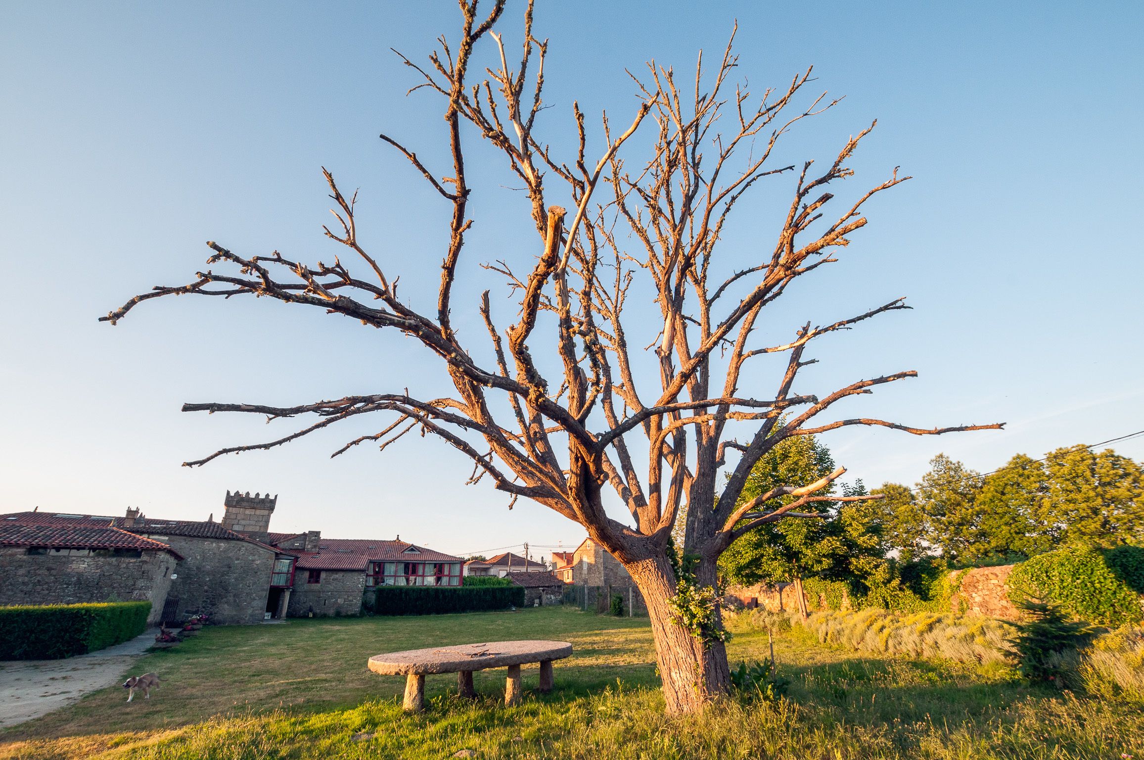 المنشأة من الخارج