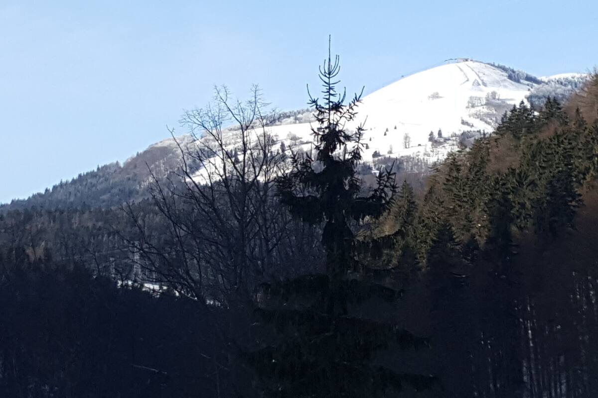 Mountain view