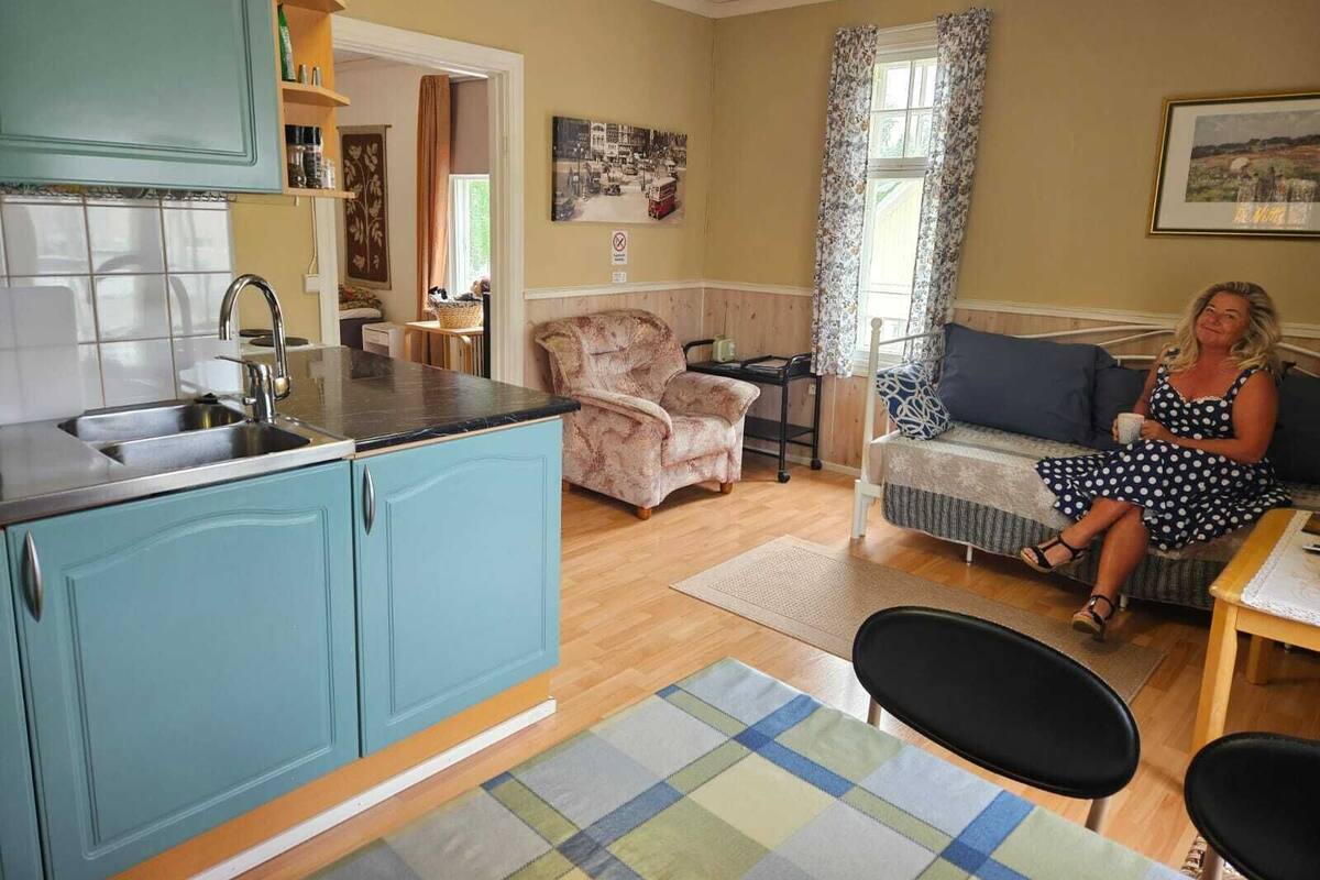 A cozy living room with a sofa, a dining table, and a kitchen area with a sink and cabinets.