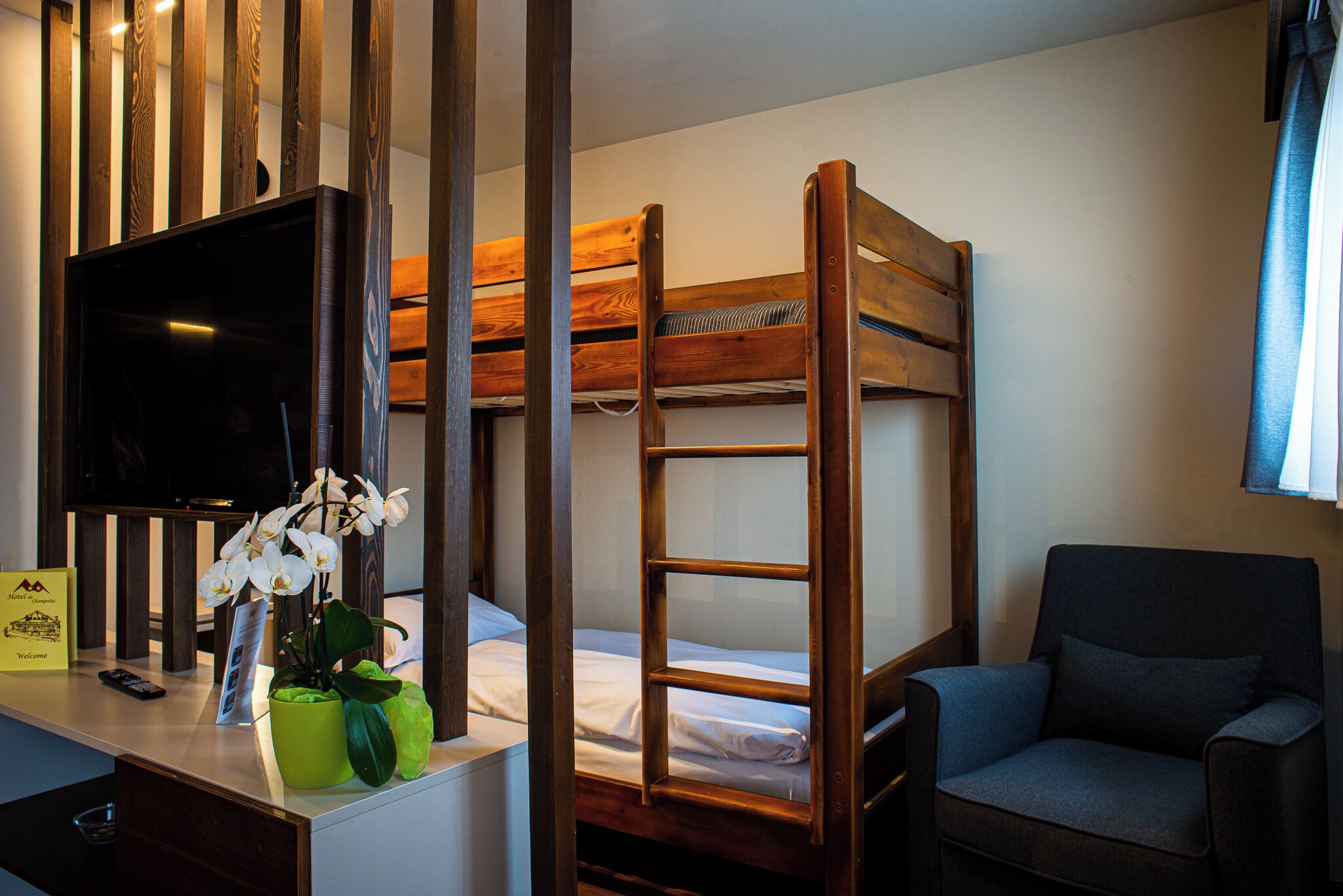 A hotel room with a bunk bed, a desk with a television, a chair, and a potted plant.