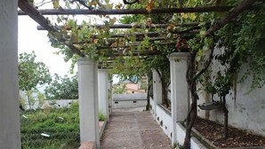 A covered pathway with a pergola structure, surrounded by greenery and white walls. - Home47 (Salerno)
