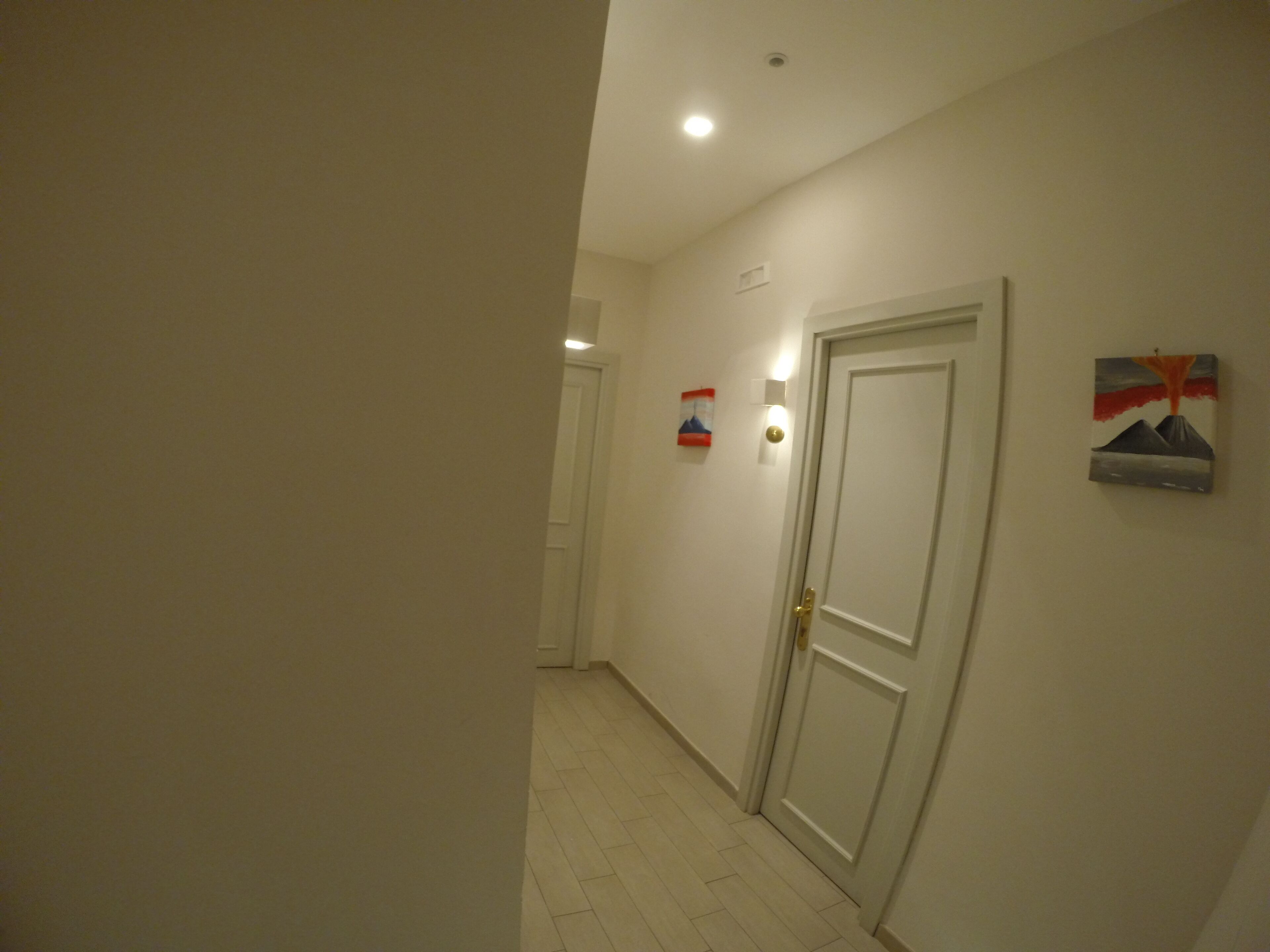 A hallway with a white door, a light switch, and a small painting on the wall.