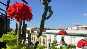 Un balcon orné de fleurs rouges, de feuillage verdoyant, et offrant une vue sur les bâtiments qui se dressent à l’arrière-plan.