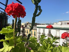 Exterior - Up Hotel (Naples)