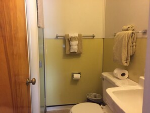 Premium Single Room, 1 Queen Bed | Bathroom | Free toiletries, towels - Hotel Eastin (Kremmling)
