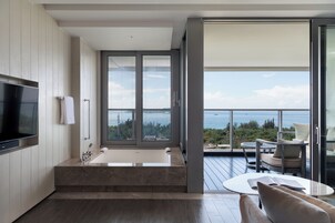 淋浴/盆浴组合、大花洒淋浴喷头、名牌洗护用品、吹风机