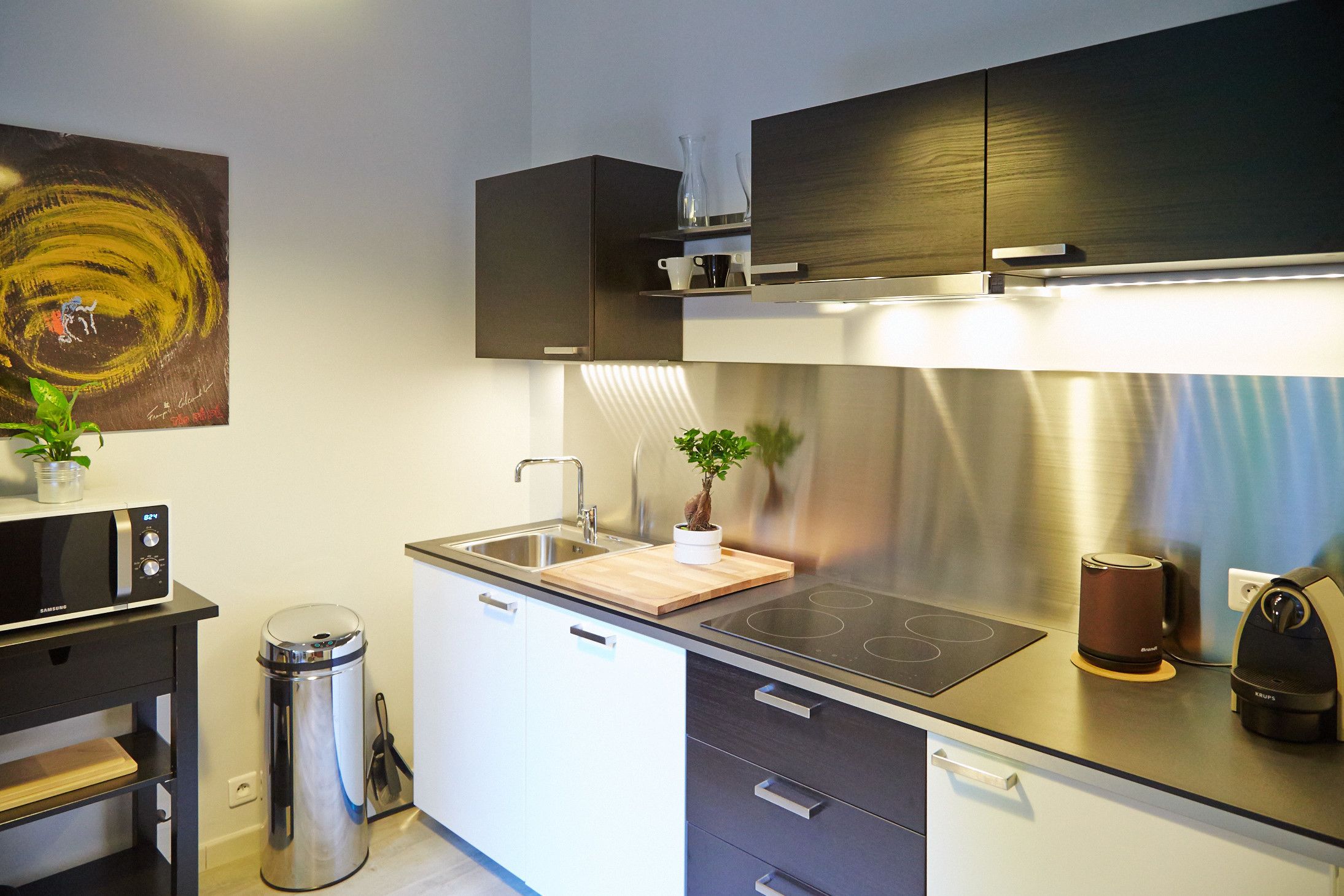 superior apartment | private kitchen | fridge, microwave, stovetop, coffee/tea maker